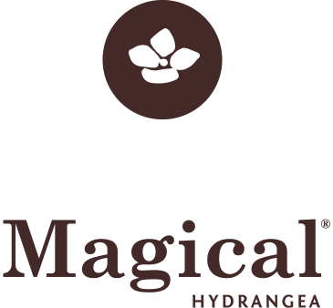 Magical Hydrangea_logo