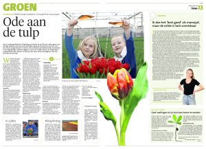 TPN NOORDHOLLANDSDAGBLAD 16-01-2021 002