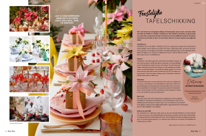 SFE WOONINSTYLE 05-11-2025 001